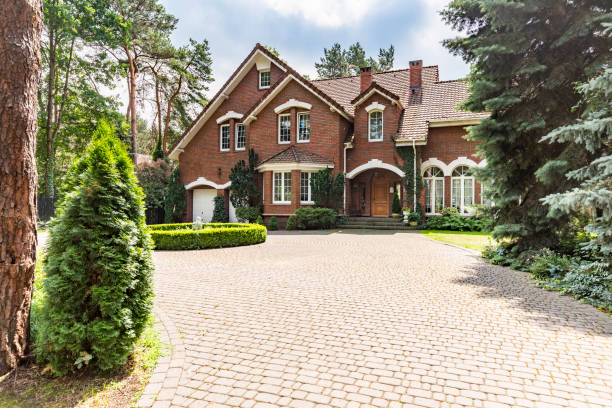 Best Driveway Pavers Near Me  in Timpson, TX