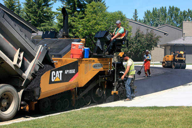 Best Driveway Paving Near Me  in Timpson, TX